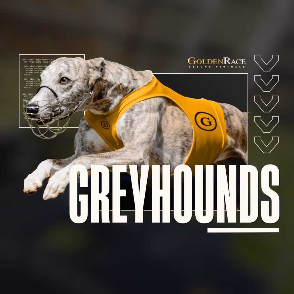 /games/golden-race/1c1763a6-2fba-48f6-a43b-c3d206158a29.avif